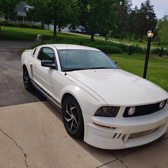 Meet your Posher, Aaron - Picture 1 of 1